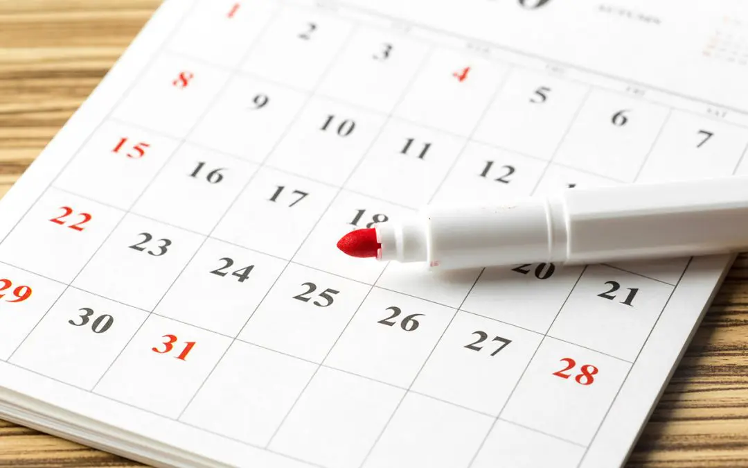 Stay Ahead of Repairs: Create a Home Maintenance Schedule