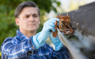 How to Clean the Gutters in 4 Steps